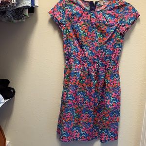 Jcrew Dress